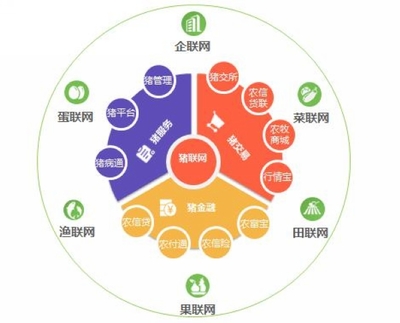 平安互聯網創建項目 打造安全、便捷、高效的個人互聯網服務新生態